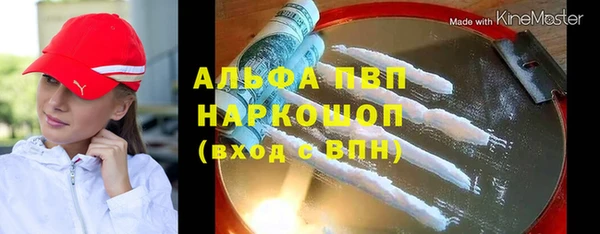 прущий лед Бородино
