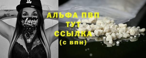 дживик Верхний Тагил