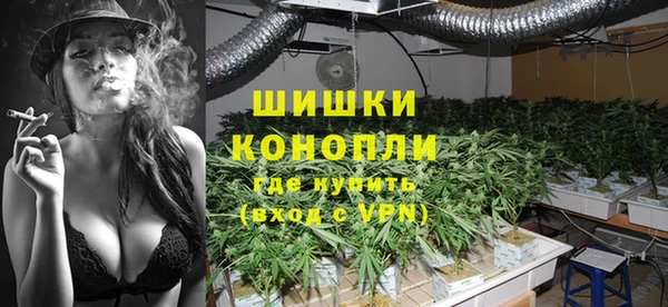 дживик Верхний Тагил