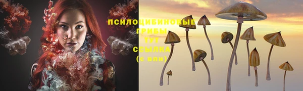 мескалин Верея