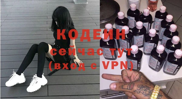 дживик Верхний Тагил