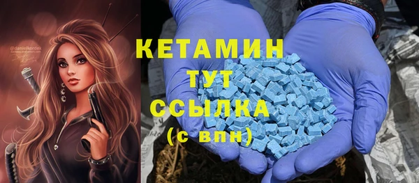 дживик Верхний Тагил