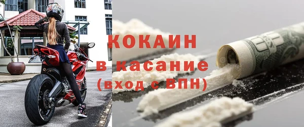 дживик Верхний Тагил