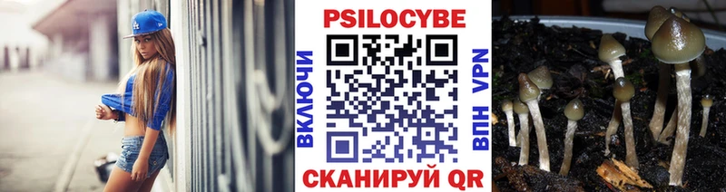 Псилоцибиновые грибы Magic Shrooms  Владикавказ 