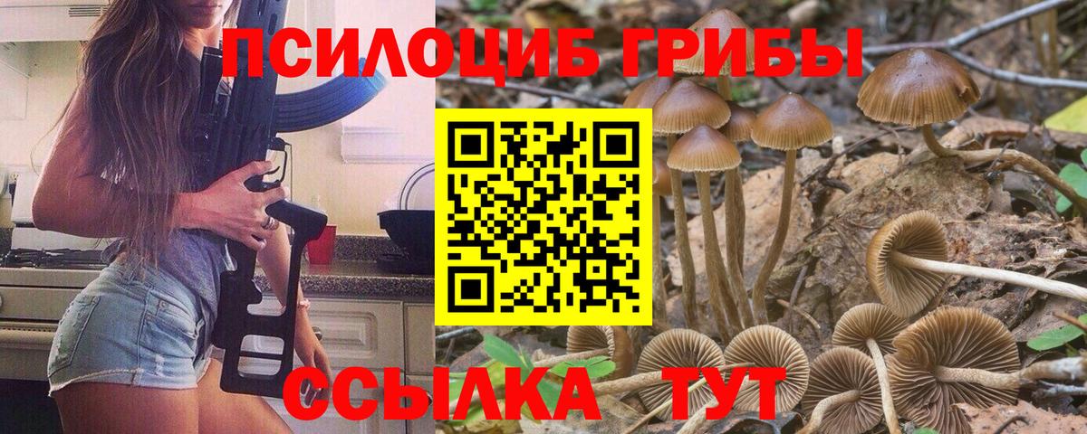 Галлюциногенные грибы Magic Shrooms  Вход с VPN  как найти наркотики  Владикавказ 