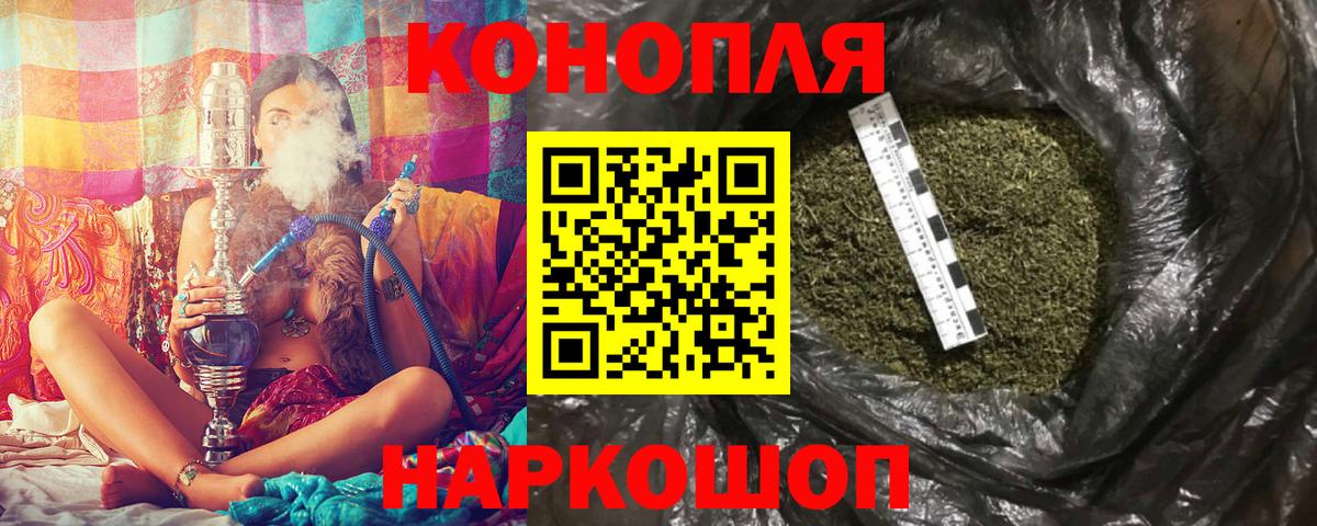 Каннабис планчик  Владикавказ  Конопля OG Kush  Марихуана Bruce Banner  Бошки марихуана семена 